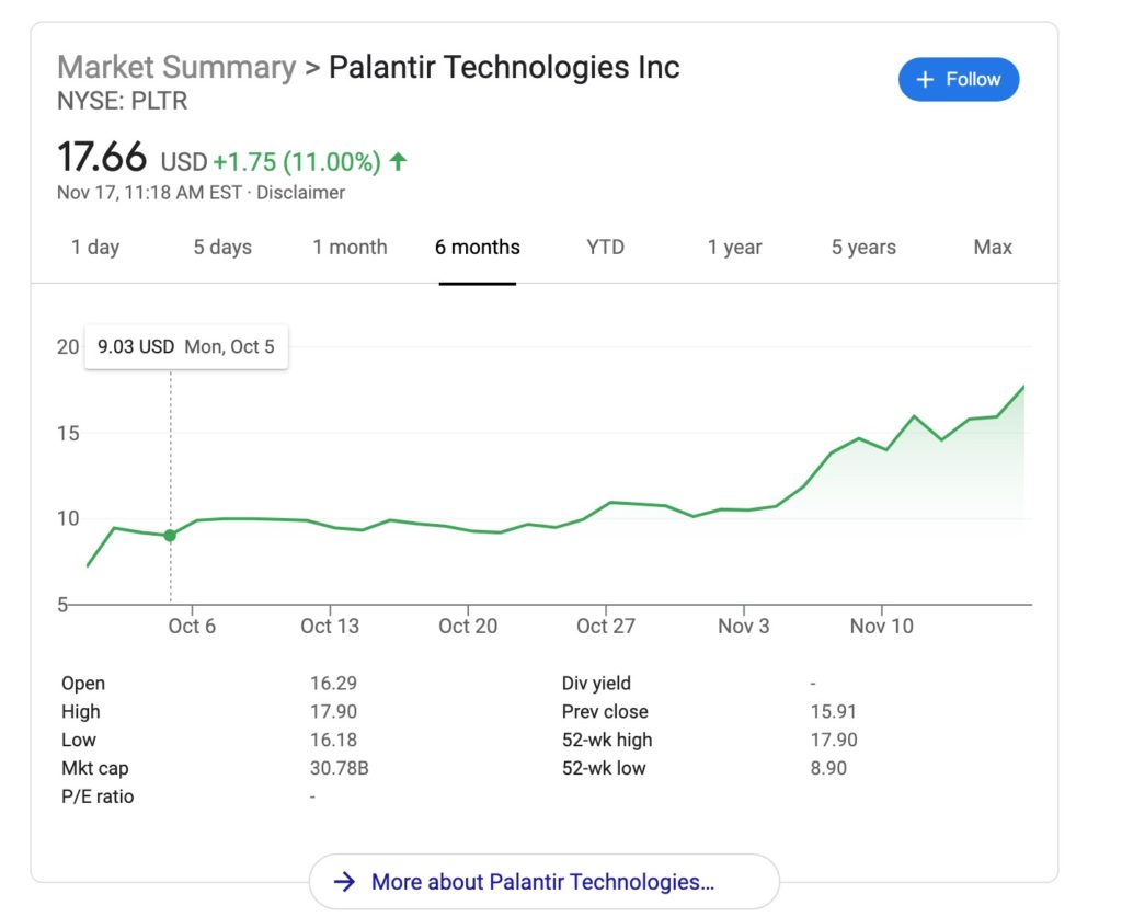 PLTR Stock growth